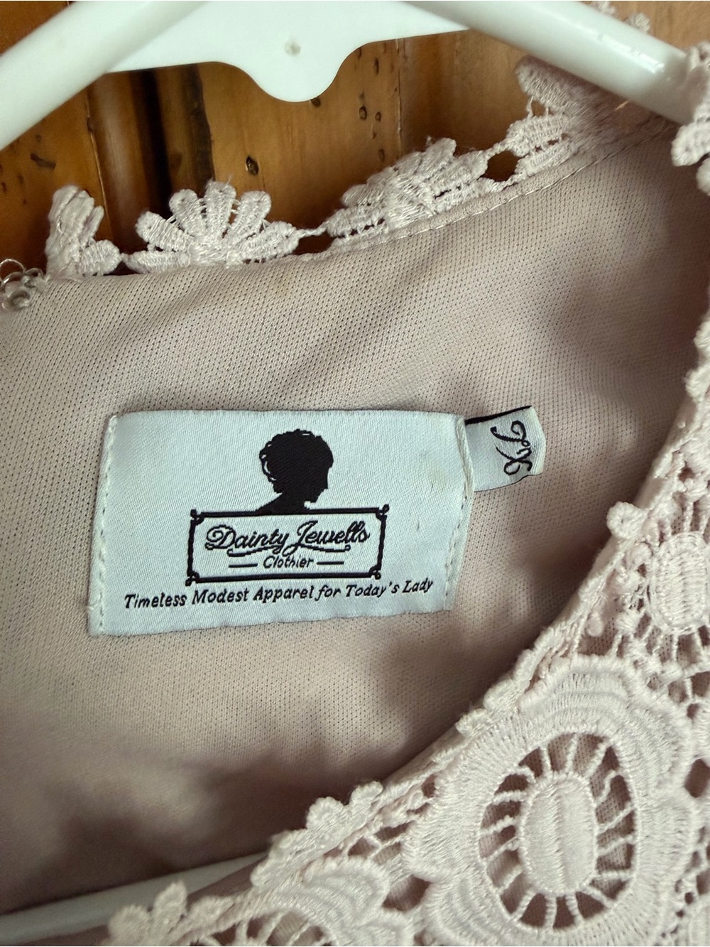 XL Dainty Jewells Dress in Blush Pink - Picture 2 of 7